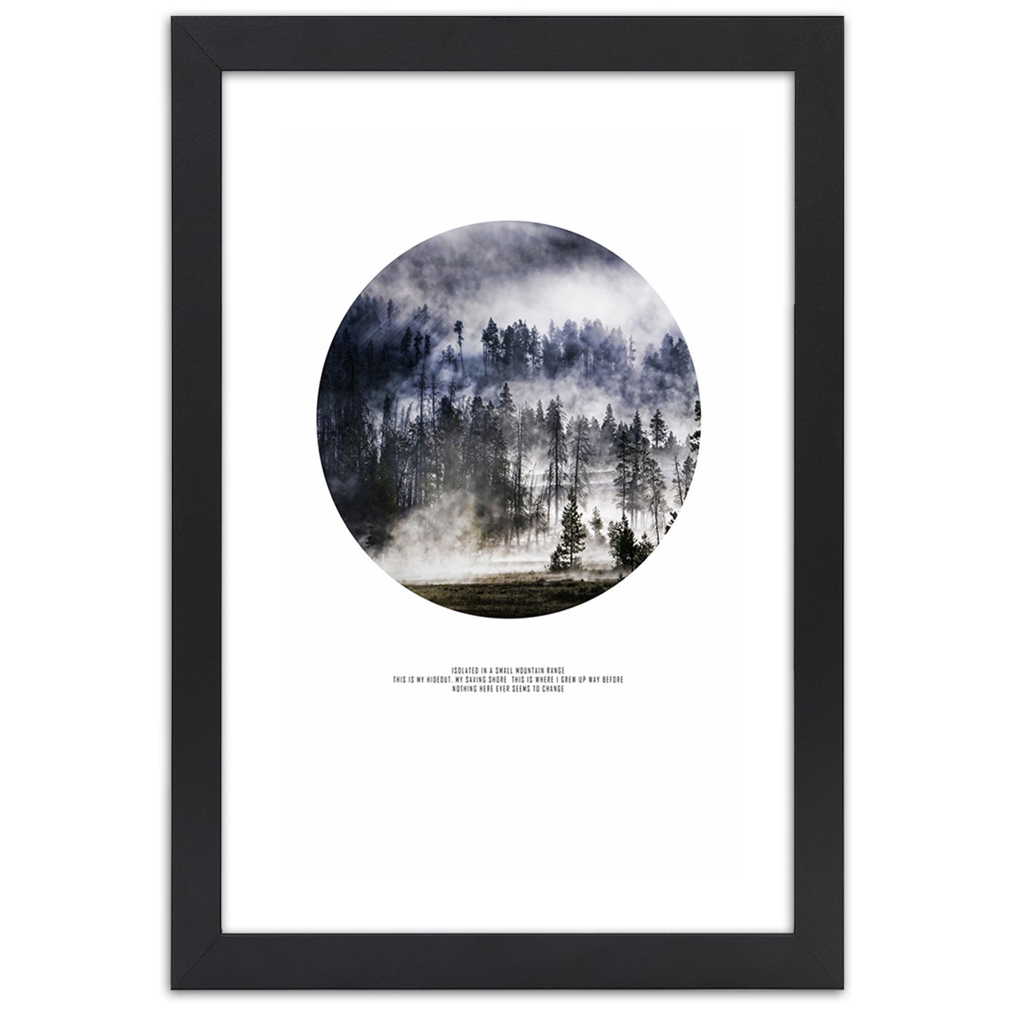 Picture in frame, Forest in mist