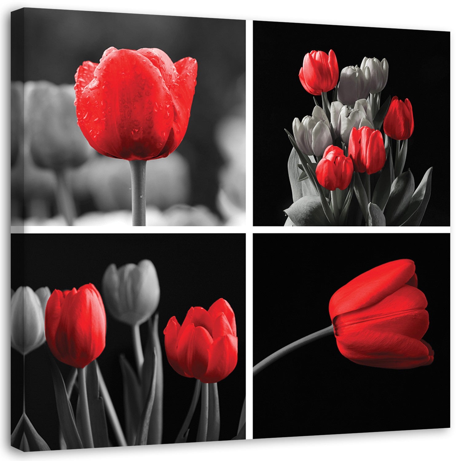 Canvas, Set of red tulips