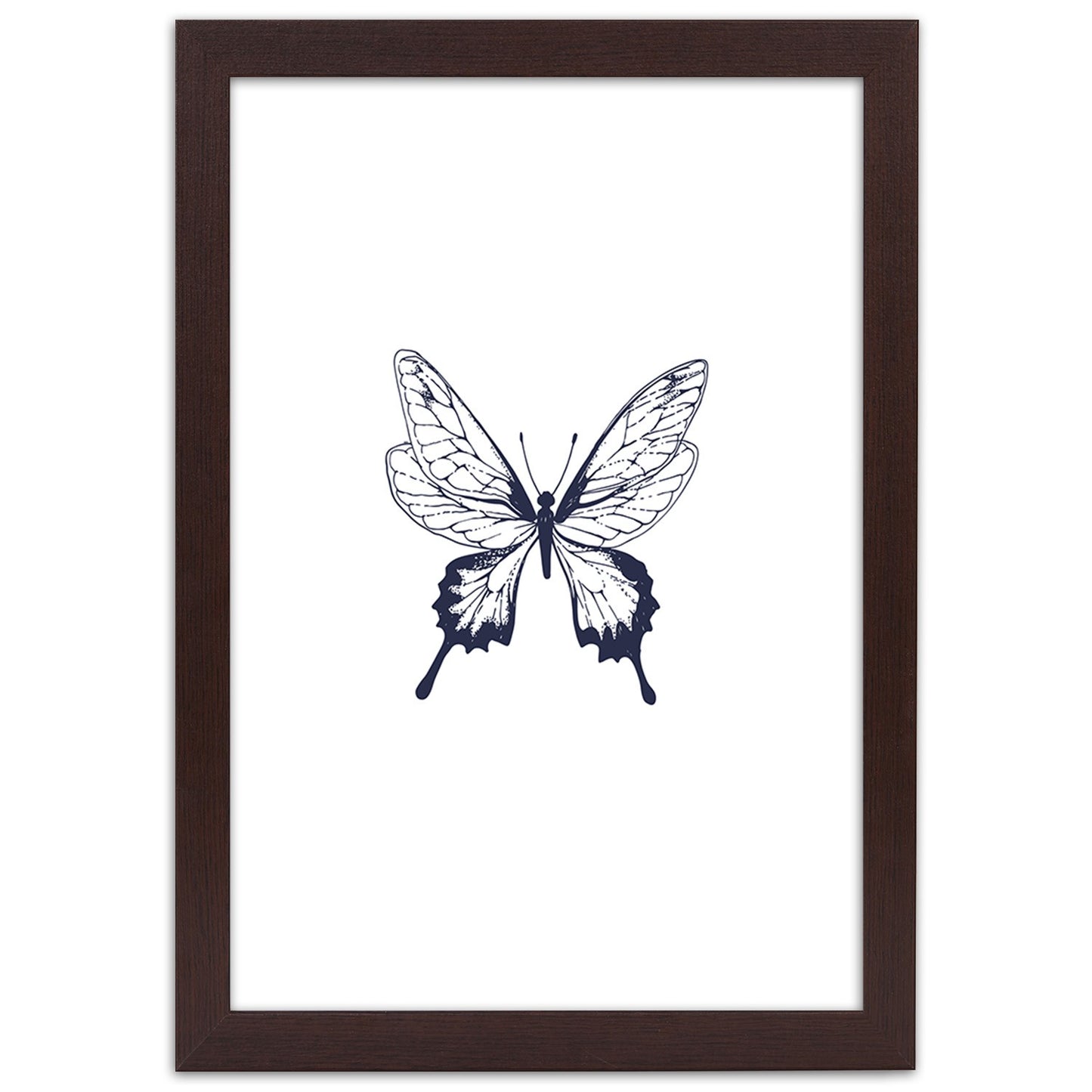 Picture in frame, Drawn butterfly