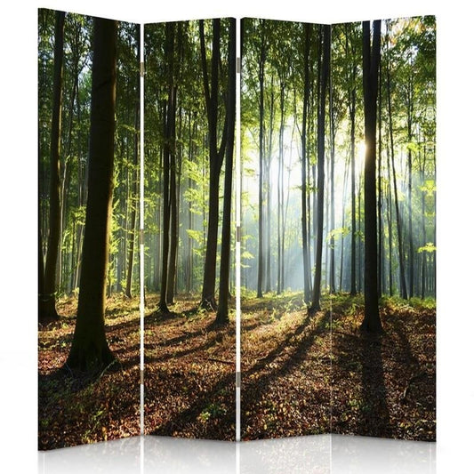 Room divider, Sun rays in the forest