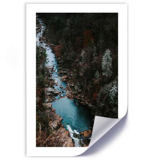 Poster, River in the forest