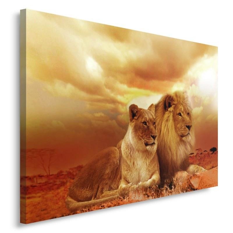 Canvas, Lion couple