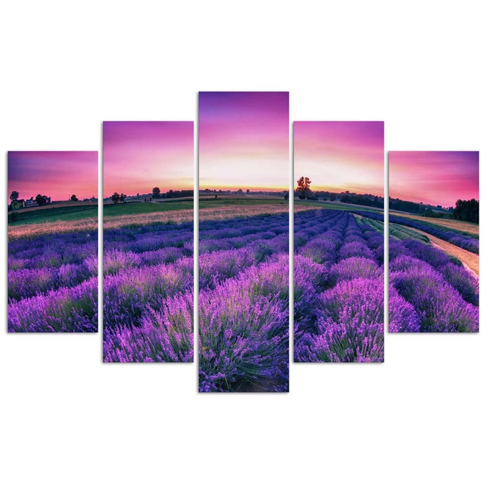 Deco panel, Lavender field, 5 episodes