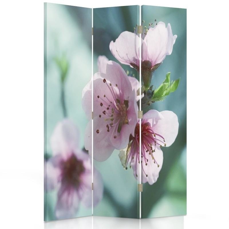 Room divider, Close-up of a cherry blossom