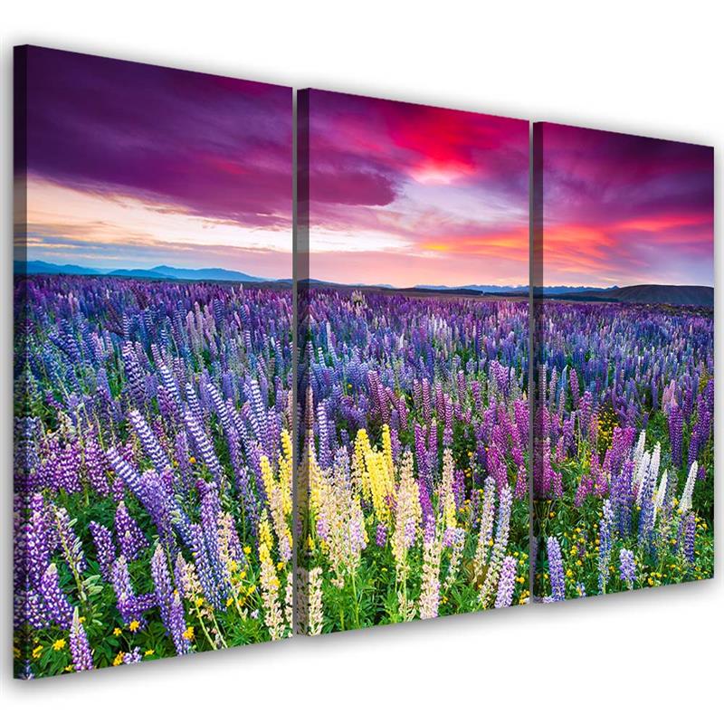 Canvas, Flowery meadow