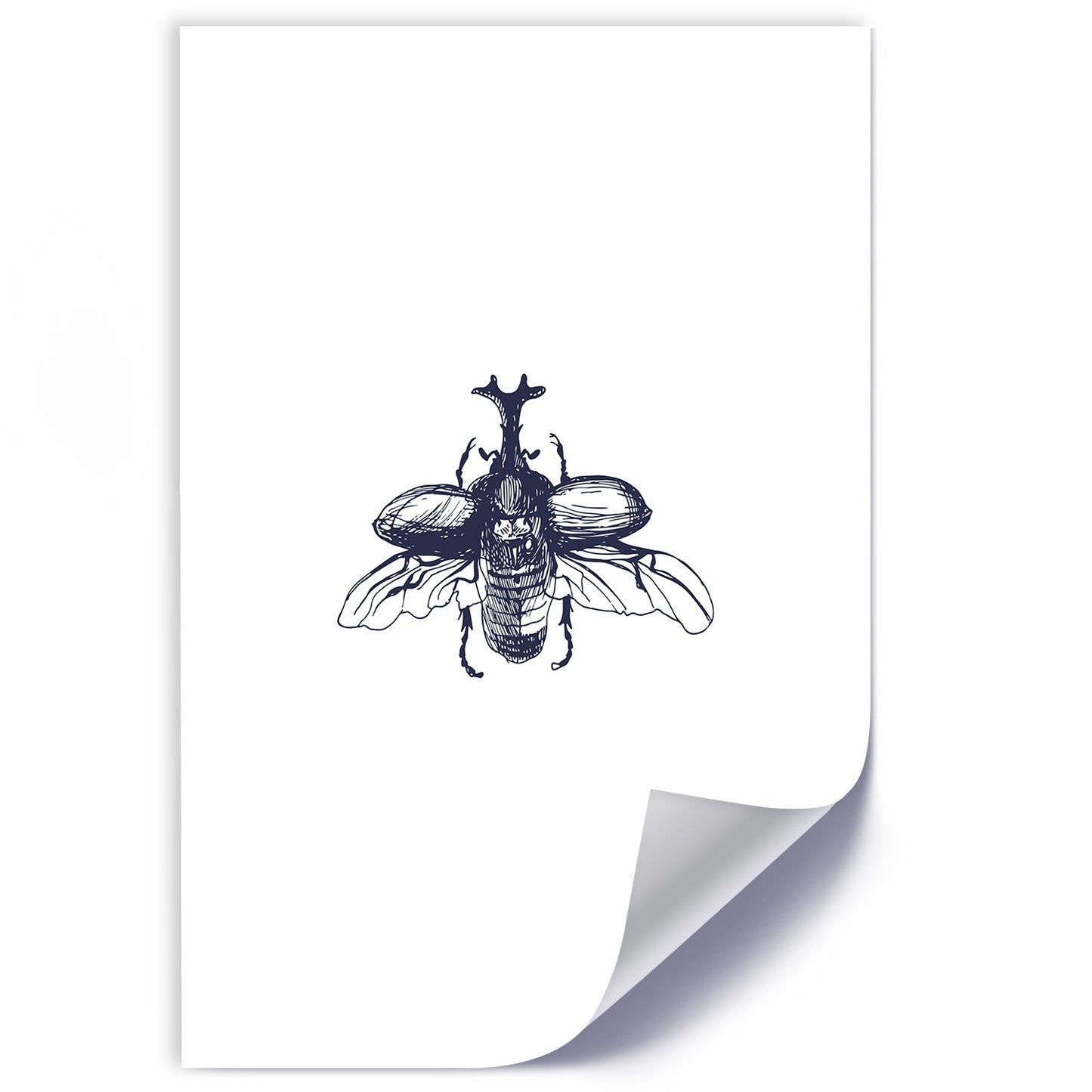 Poster, Flying beetle