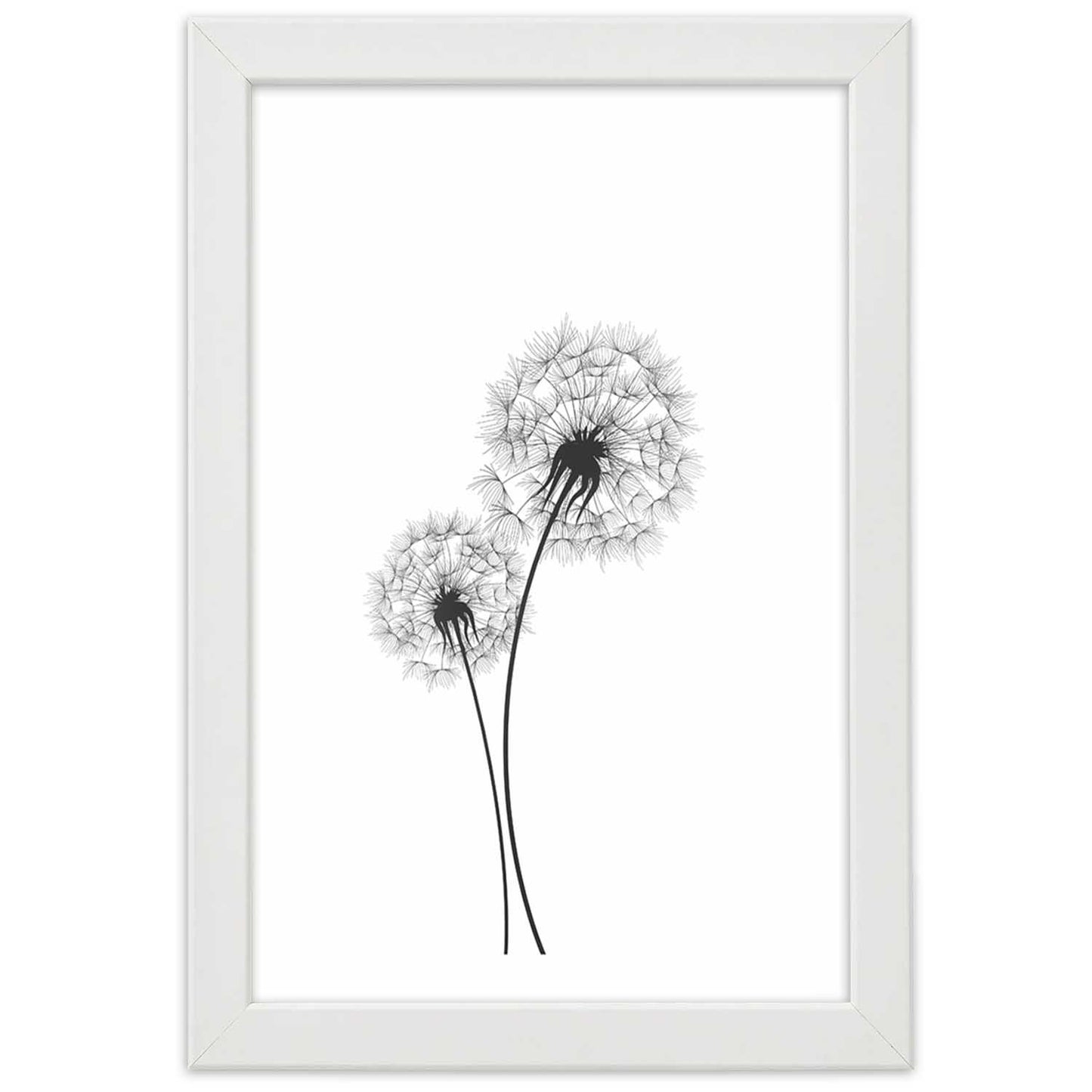 Picture in frame, Drawn two dandelions