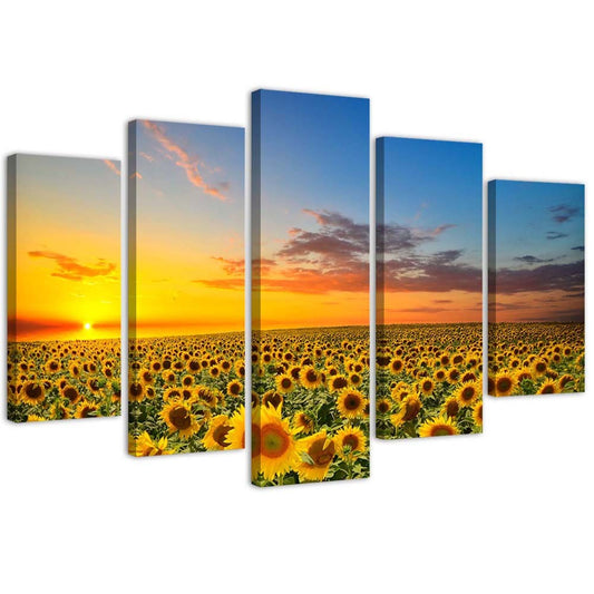 Canvas, Sunflowers on a meadow