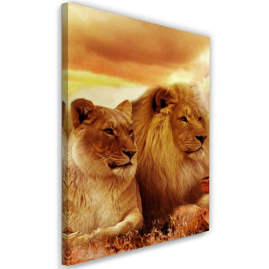 Canvas, Lion king and lioness