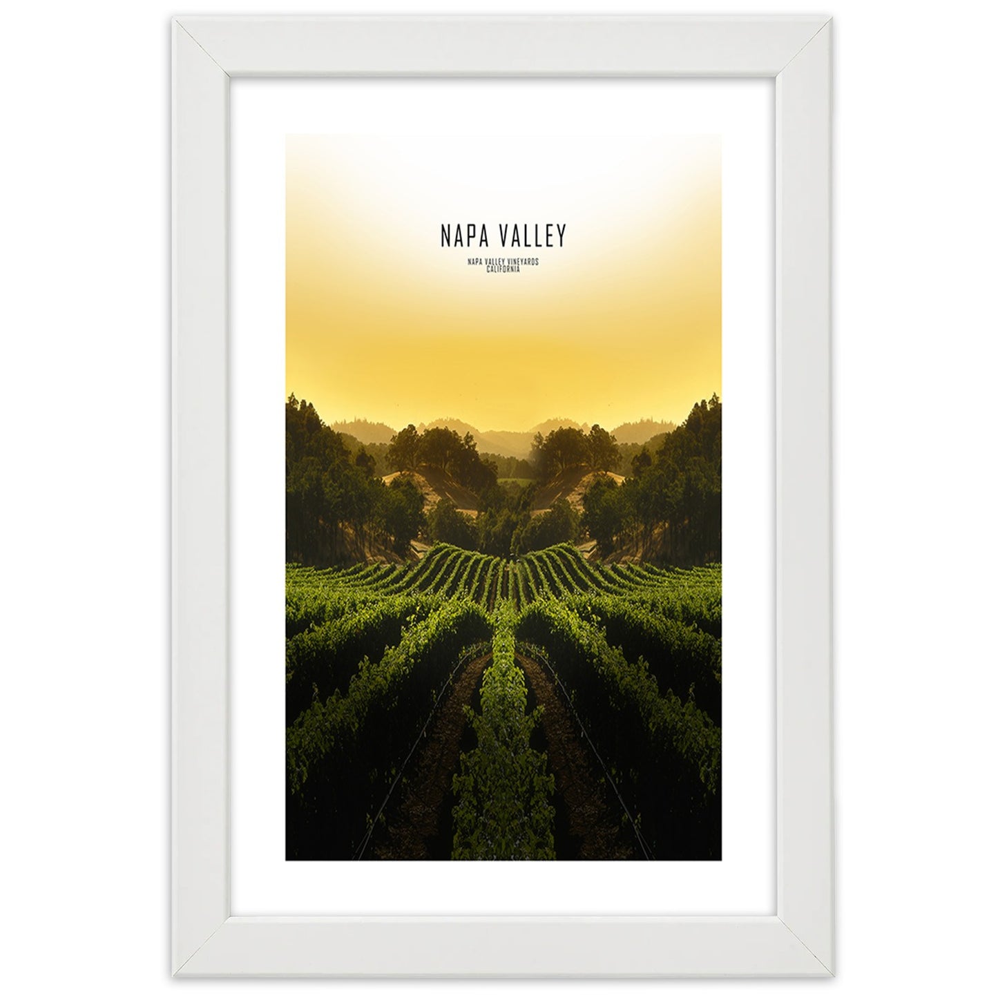 Picture in frame, Vineyards in napa vallley