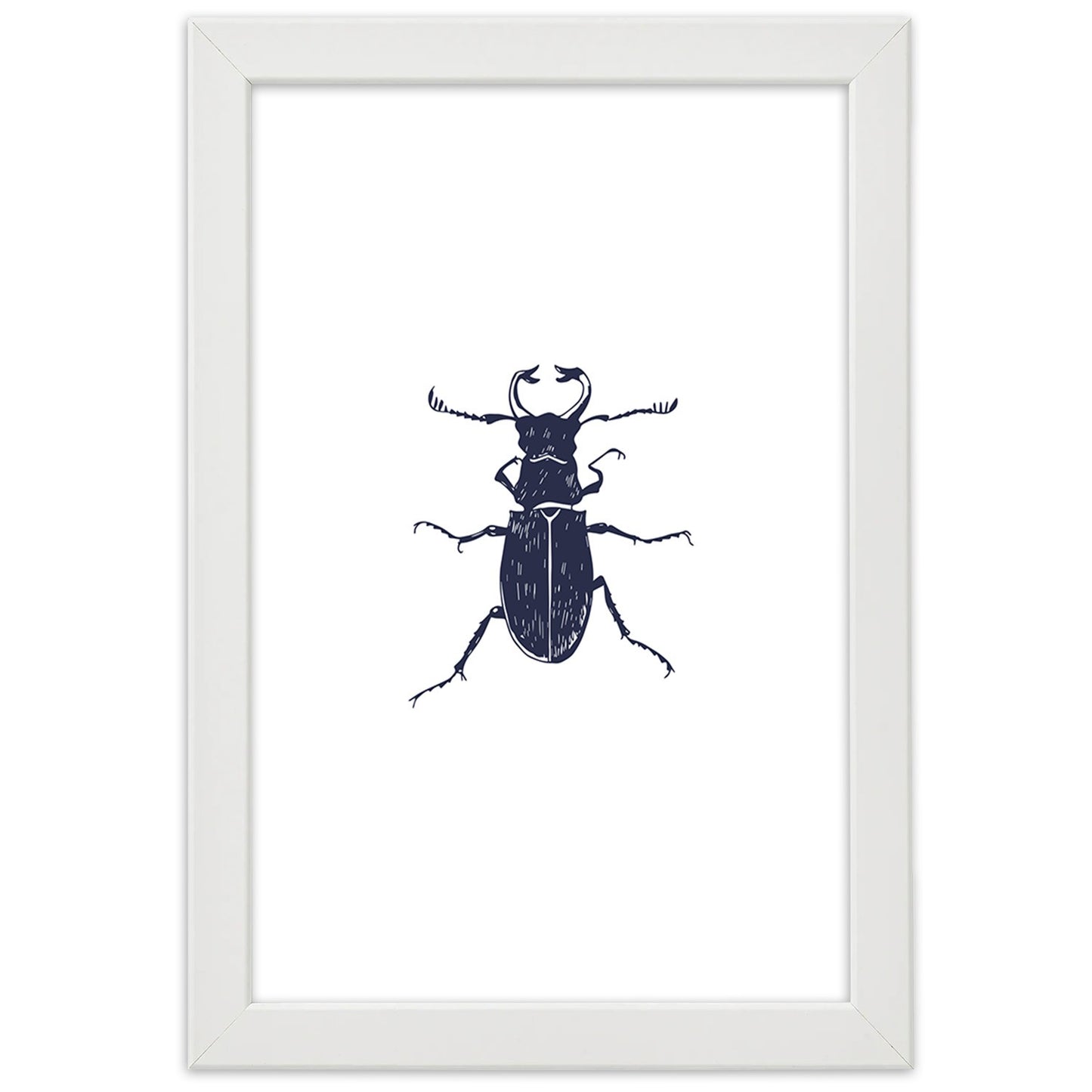 Picture in frame, Black beetle