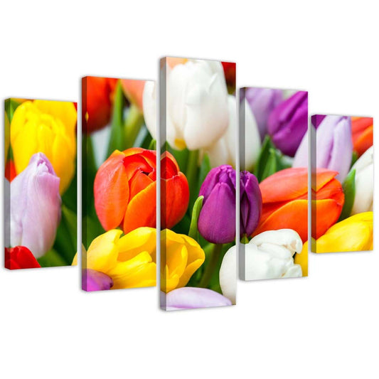 Canvas, Colourful tulips
