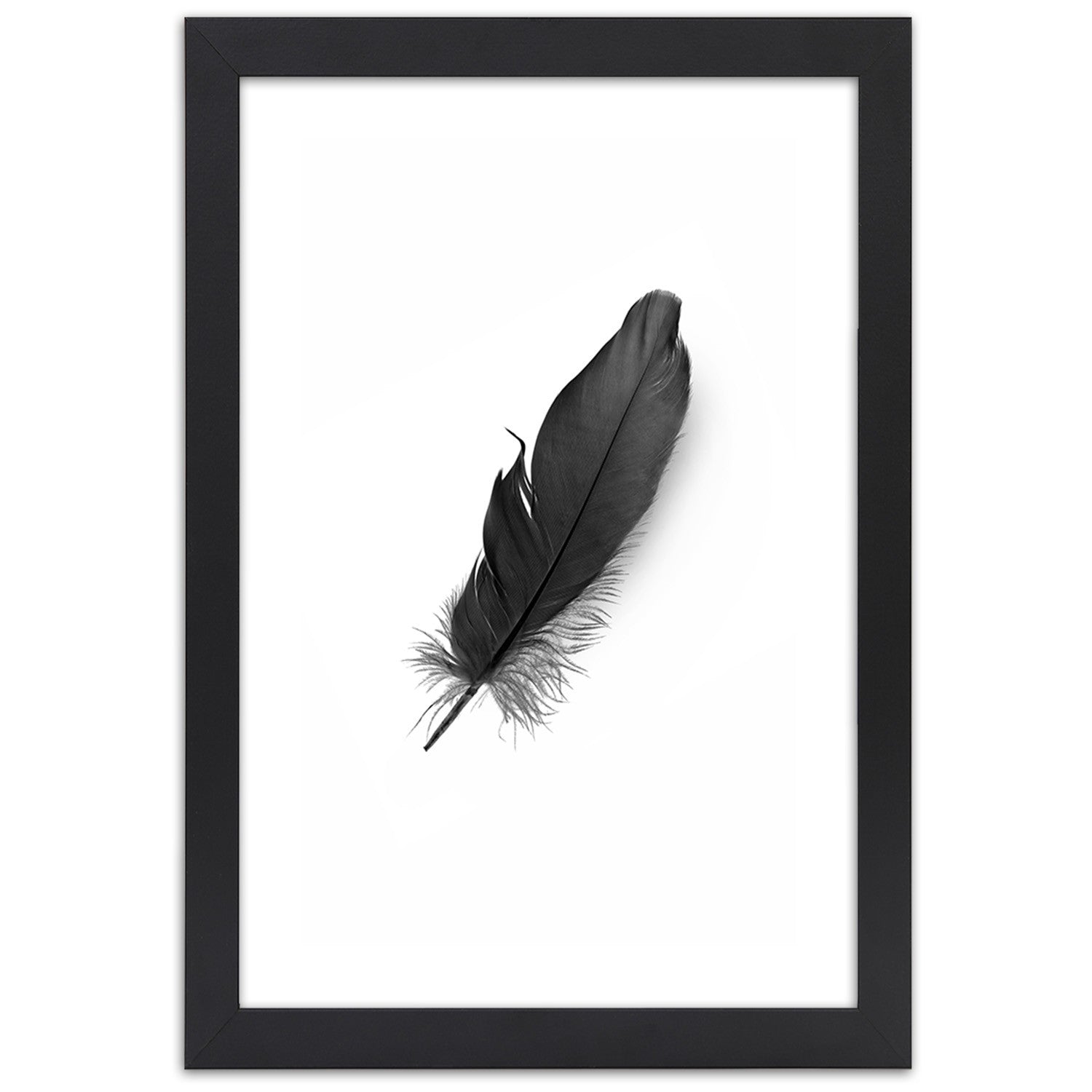 Picture in frame, Black feather