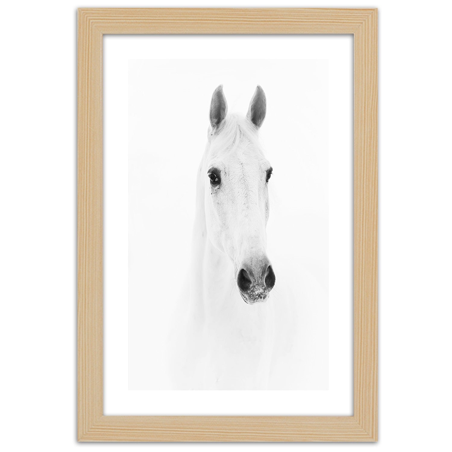 Picture in frame, Grey horse