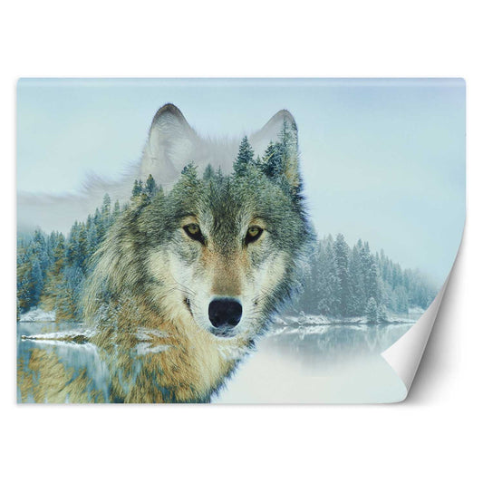 Wallpaper, Wolf and a lake