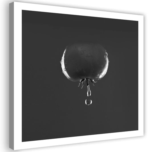 Canvas, Tomato and water droplets - black and white
