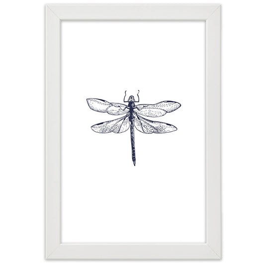 Picture in frame, Dragonfly drawn