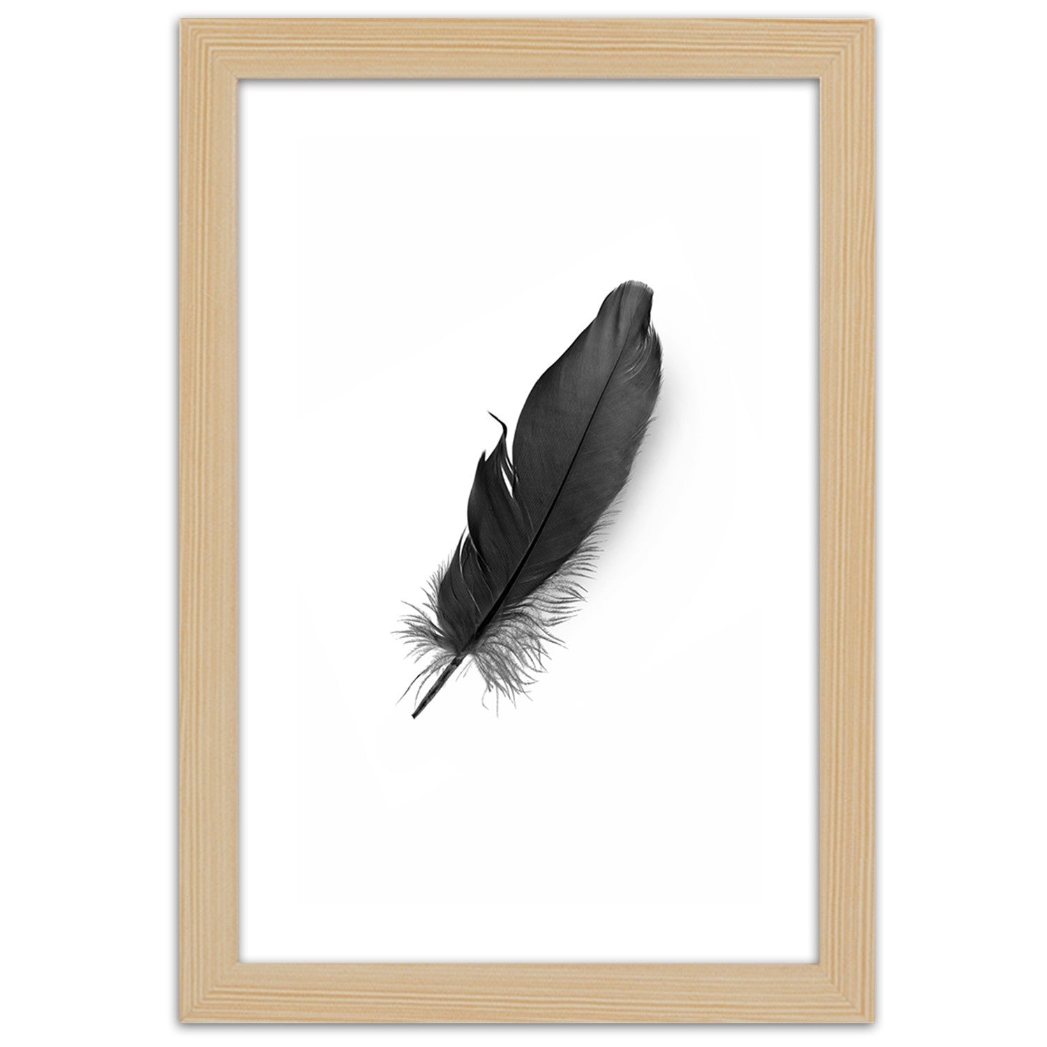 Picture in frame, Black feather