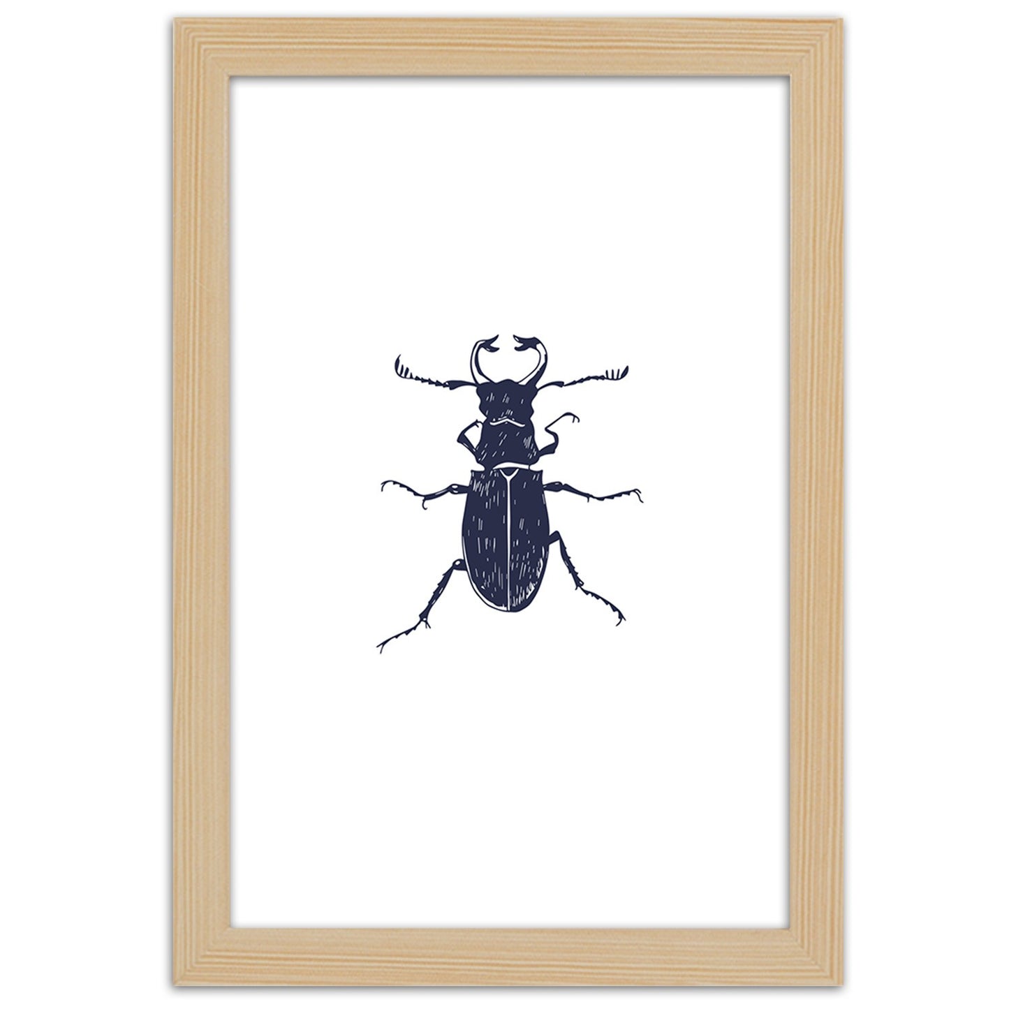 Picture in frame, Black beetle