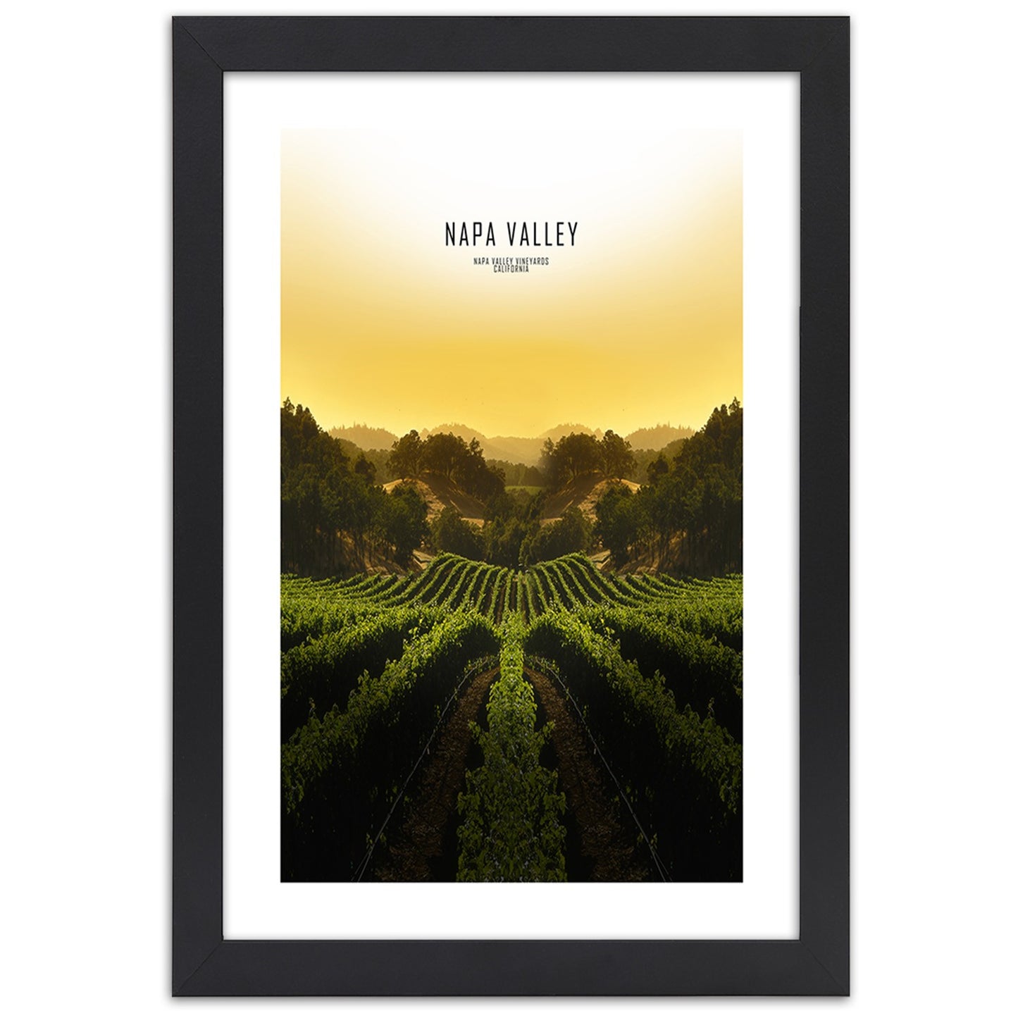 Picture in frame, Vineyards in napa vallley