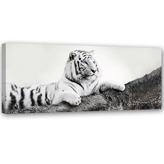 Canvas, Watchful tiger