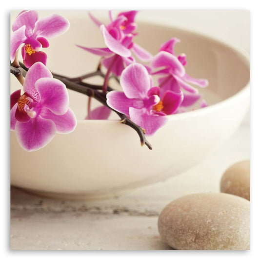 Paveikslas Ant Drobės Rožinės Orchidėjos