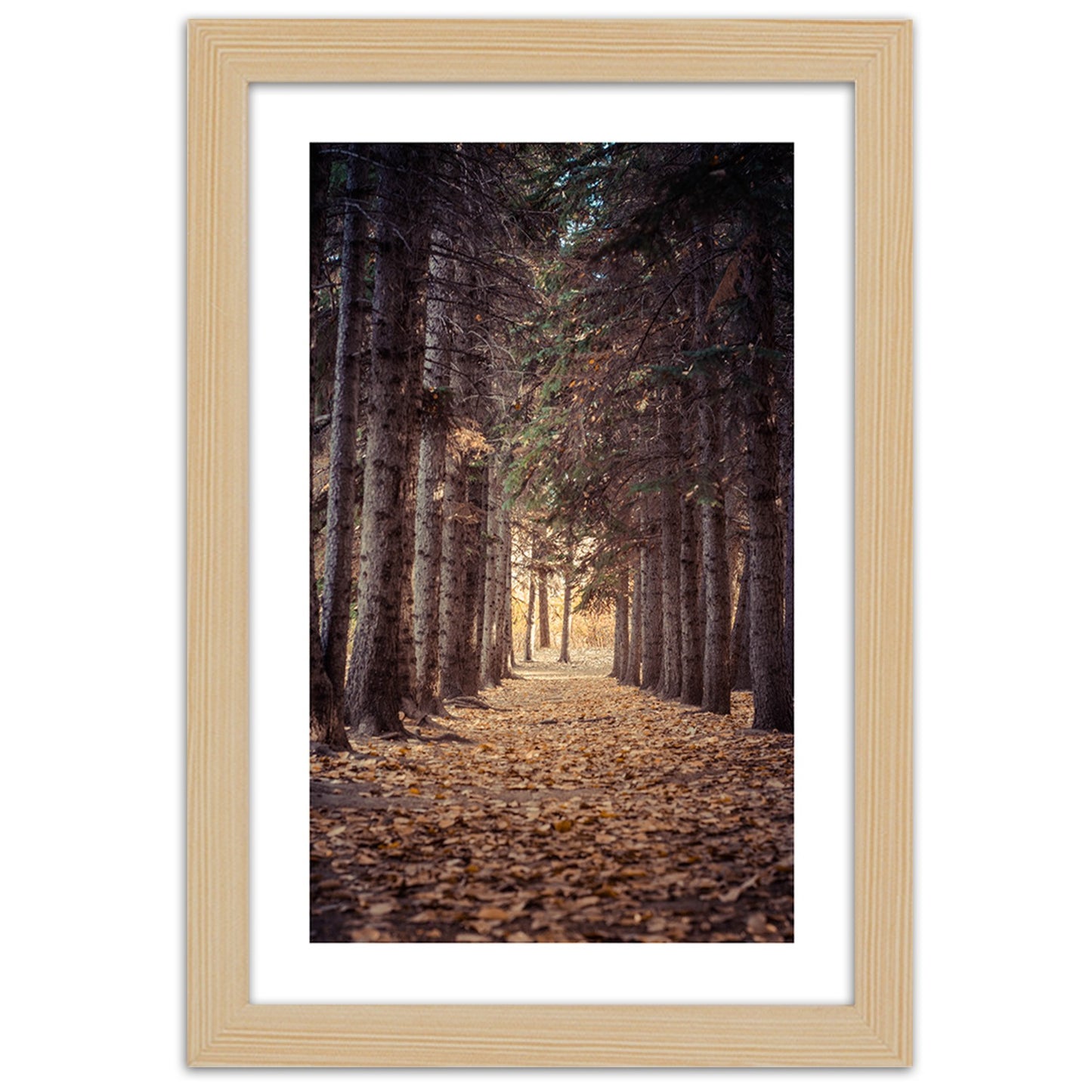 Picture in frame, Forest in autumn