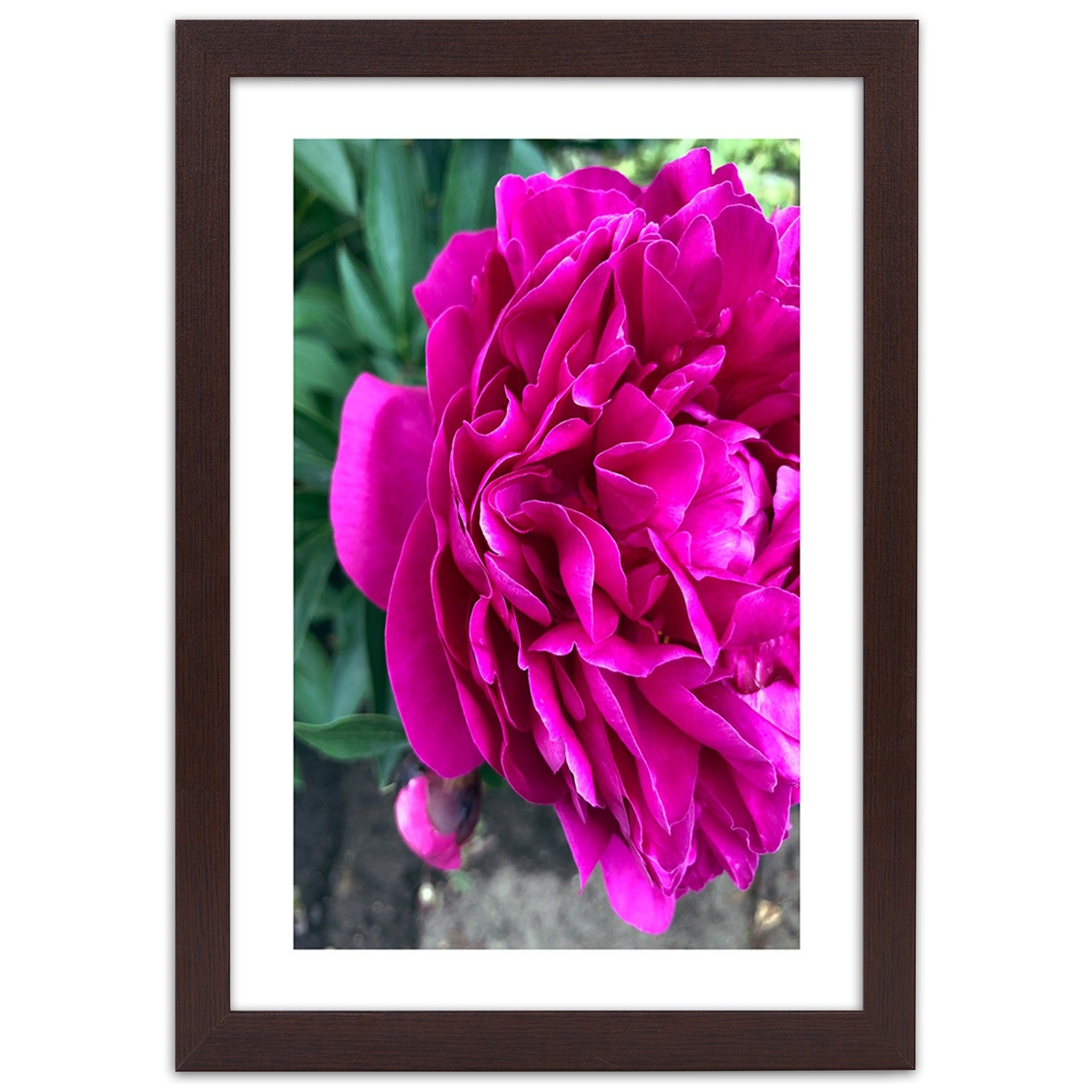 Picture in frame, Pink large flower