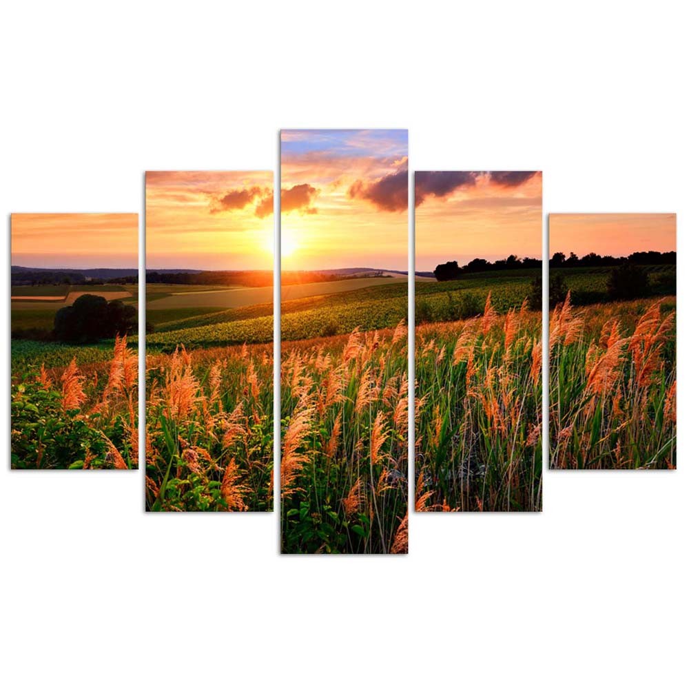 Deco panel, Sunset over a meadow, 5-panel