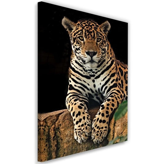 Canvas, Leopard at rest