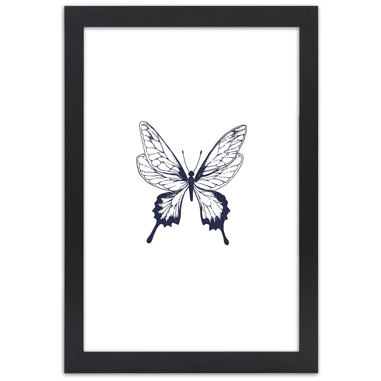 Picture in frame, Drawn butterfly