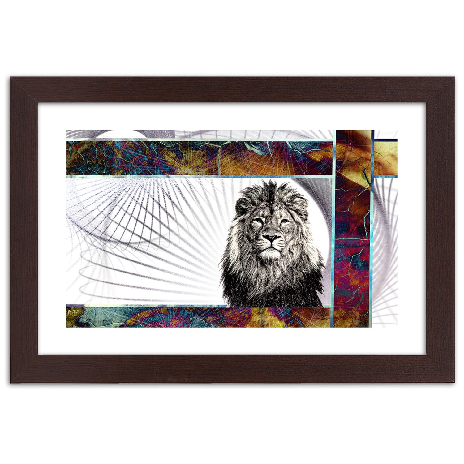 Picture in frame, Majestic lion