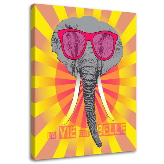 Canvas, Elephant with glasses