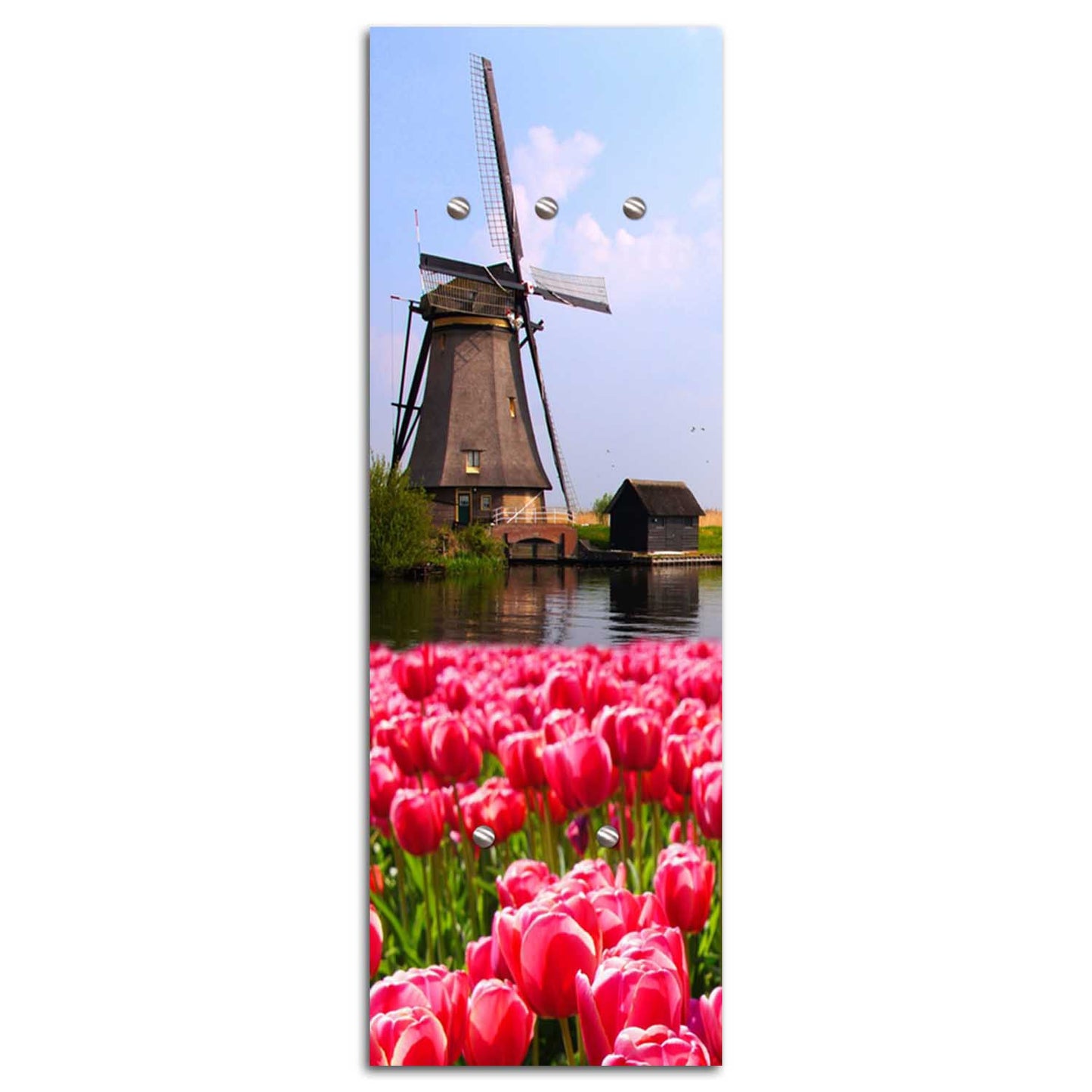 Hanger, Windmill and flowers