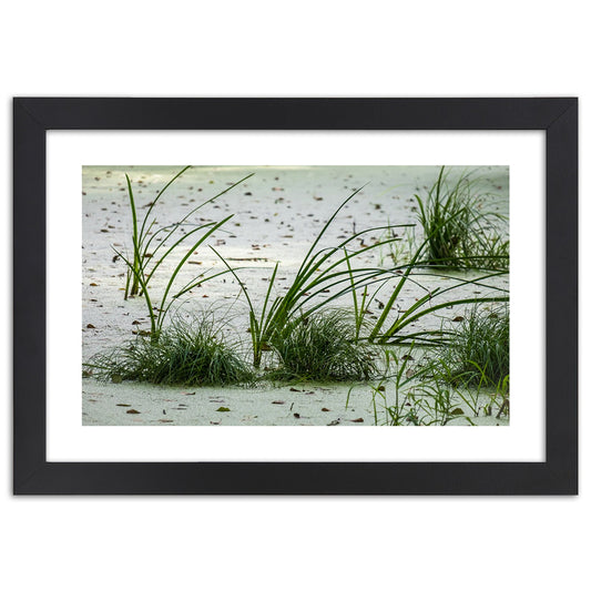 Picture in frame, Grasses on the beach