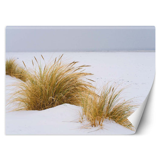 Wallpaper, Dunes on golden sand